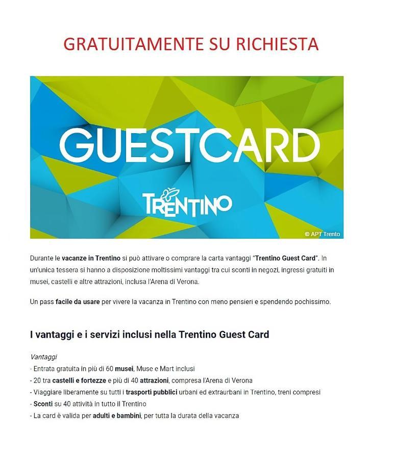 Appartamento Grande Al Ponte. Situato Vicino All'Ospedale, Al Parco E Al Centro Citta 트렌토 외부 사진